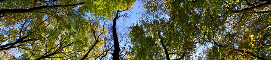 conni_eyrich_0003_Ebene 21.jpg